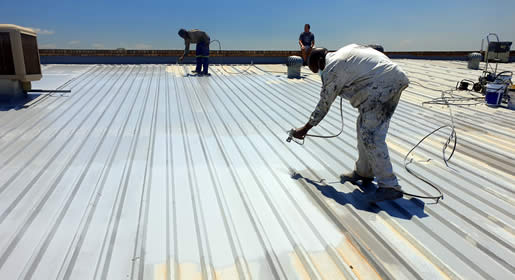 Roof painting Wellington—professional service for residential and commercial properties.